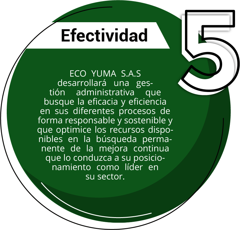 EFECTIVIDAD